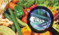 家庭食品安全我們該怎么辦？食材凈化機有效嗎？