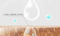 千年舟阻燃板全新?lián)Q代升級，守護(hù)生命的阻燃衛(wèi)士