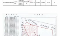 深圳800畝未收儲(chǔ)土地掛牌樂高集團(tuán) 11名全國(guó)省人大代表提出監(jiān)督