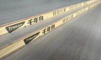 千年舟全新「防偽指南」來襲，教你快速辨真假