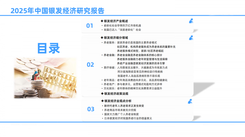 2025銀發(fā)印記研究報(bào)告.png