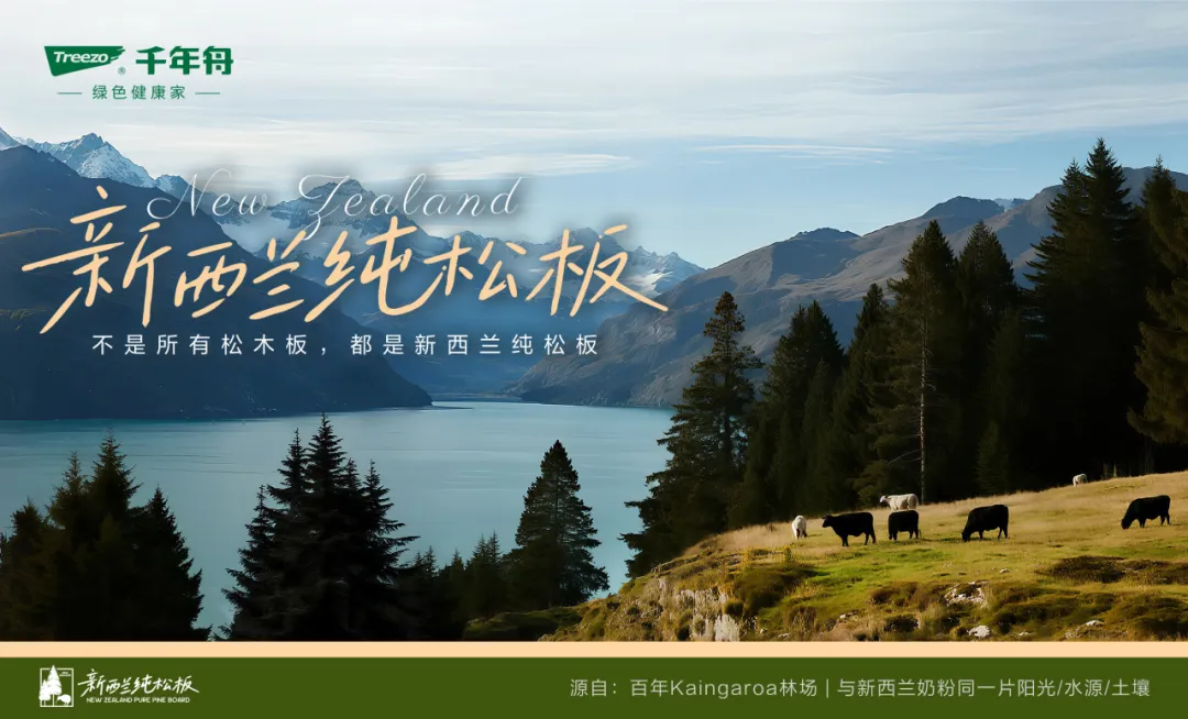 從新西蘭林海到家居日常，用硬實(shí)力撐起生活的松弛感
