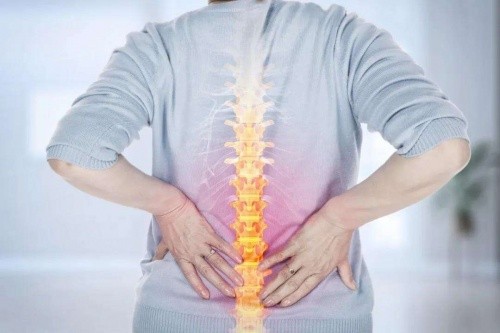 腰痛人的春天，東寶床墊呵護脊椎健康