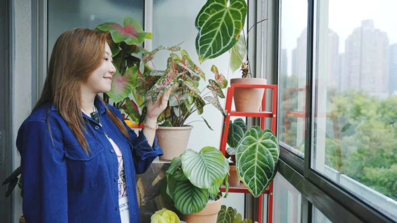 范湉湉的&ldquo;花花世界&rdquo;，藝術巖板「繁花」與冠珠韶華「南山蘆花」搭配亮了