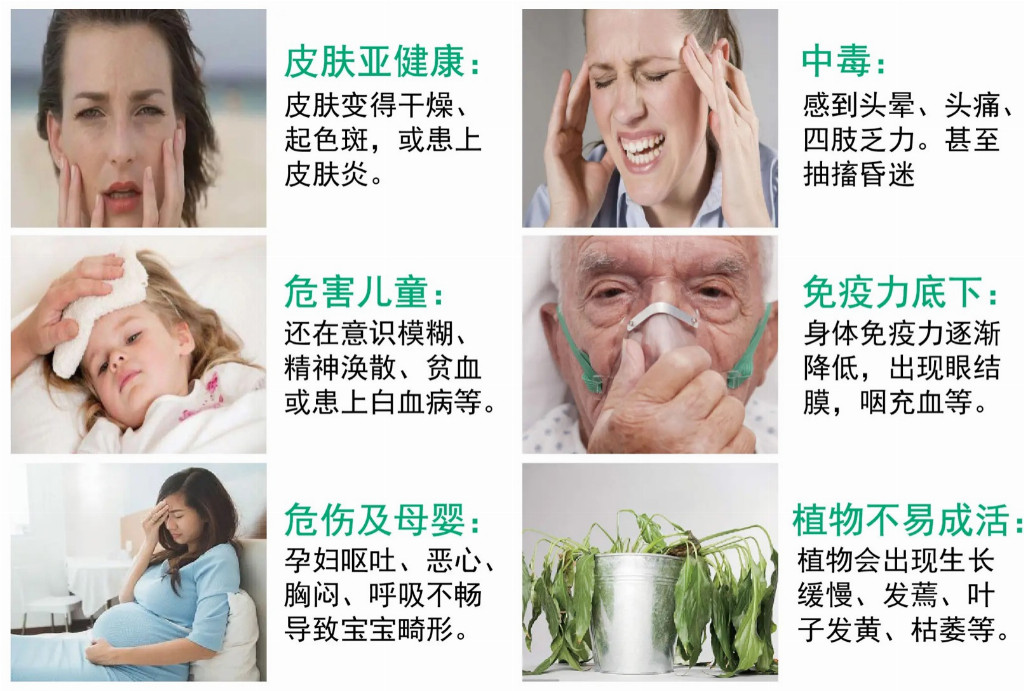 家里有老人小孩孕媽媽，室內裝修膩子粉哪個品牌最好最環保？